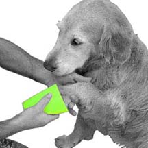 Retriever1
